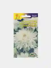 Семена , Хризантема многолетняя "Махровая", Цветущий сад