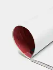 Коралловый альбом для рисования 40 листов А4 на скрепе "Ассорти"