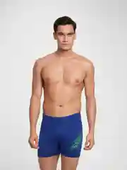 Аметистовый мужские купальные шорты