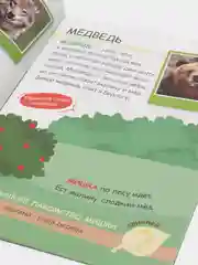 Лесной зеленый книжка с наклейками "Читай, играй, узнавай", 16 страниц