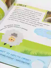 Лайм книжка с наклейками "Читай, играй, узнавай", 16 страниц