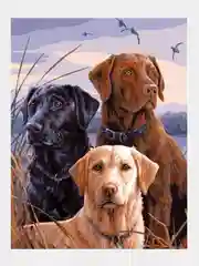 Алмазная мозаика "Лабрадоры" 40*50 см на подрамнике, полная выкладка
