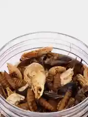 Корм для водных черепах, "Добрый мир", креветки, сверчки и личинки черной львинки, 40 гр