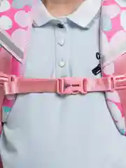 Ледяной рюкзак школьный SKN