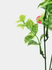 Красный цветы искусственные
