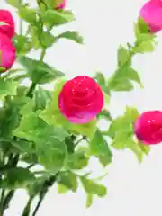 Красный цветы искусственные