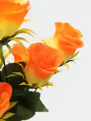 Оранжевый искусственные цветы