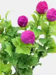 Фиолетовый цветы искусственные