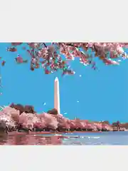 Картина  по номерам на холсте с подрамником 50x40 "Обелиск"