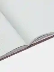 Книга учета Calligrata, 96 листов