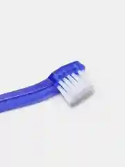 Синий зубная щетка для собак для зубной пасты, двусторонняя