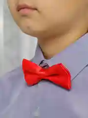 Красный галстук-бабочка детский, однотонный