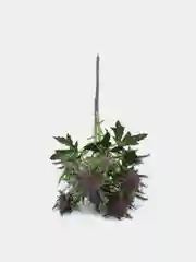 Тёмно-бордовый искусственное растение "Репейник кустовой", 3 цвета