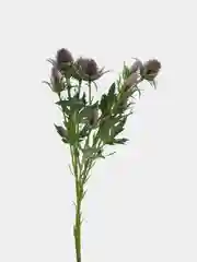 Тёмно-бордовый искусственное растение "Репейник кустовой", 3 цвета