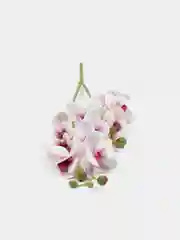 Конфетный искусственная Орхидея мини латекс