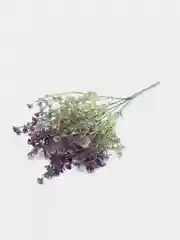 Ветка растения, искусственная