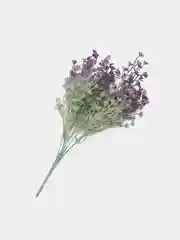 Ветка растения, искусственная