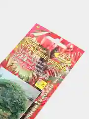 Сумах "Кружевное облако", семена цветов