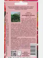 Сумах "Кружевное облако", семена цветов