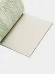 Лайм тетрадь предметная "Calligrata", 48 листов, белизна 75%