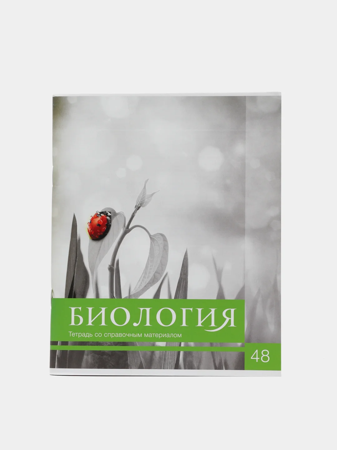 Лайм тетрадь предметная "Calligrata", 48 листов, белизна 75%