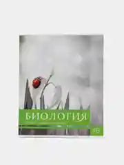 Лайм тетрадь предметная "Calligrata", 48 листов, белизна 75%