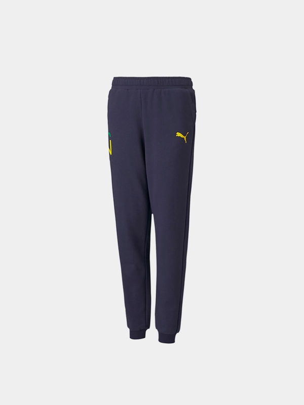 Брюки для мальчика Puma Neymar jr hero
