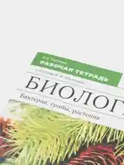 Рабочая тетрадь "Биология" Пасечник В.В., 5 класс.