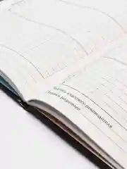 Индиго дневник школьный 1-11 класс, А5, 40 листов