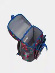 Рюкзак школьный ErichKrause ErgoLineс ортопедической спинкой, пластиковым дном  30x37x16см 16 л