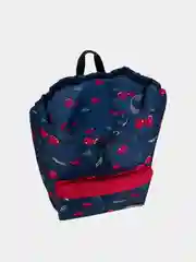 Рюкзак для девочек ErichKrause EasyLine "Cherryfall", 16 л