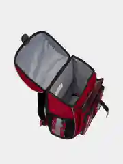 Ученический ранец с пластиковым дном ErichKrause ErgoLine 16L Sweet Love