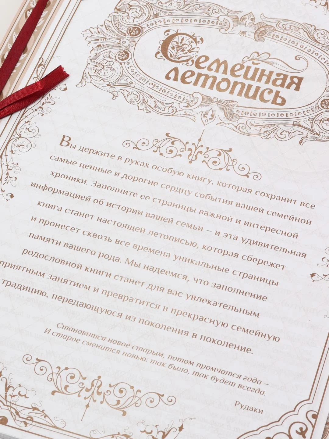 Коричневый родословная книга «Наша Семья», 100 страниц, 22 х 31 см