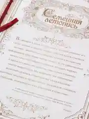 Коричневый родословная книга «Наша Семья», 100 страниц, 22 х 31 см