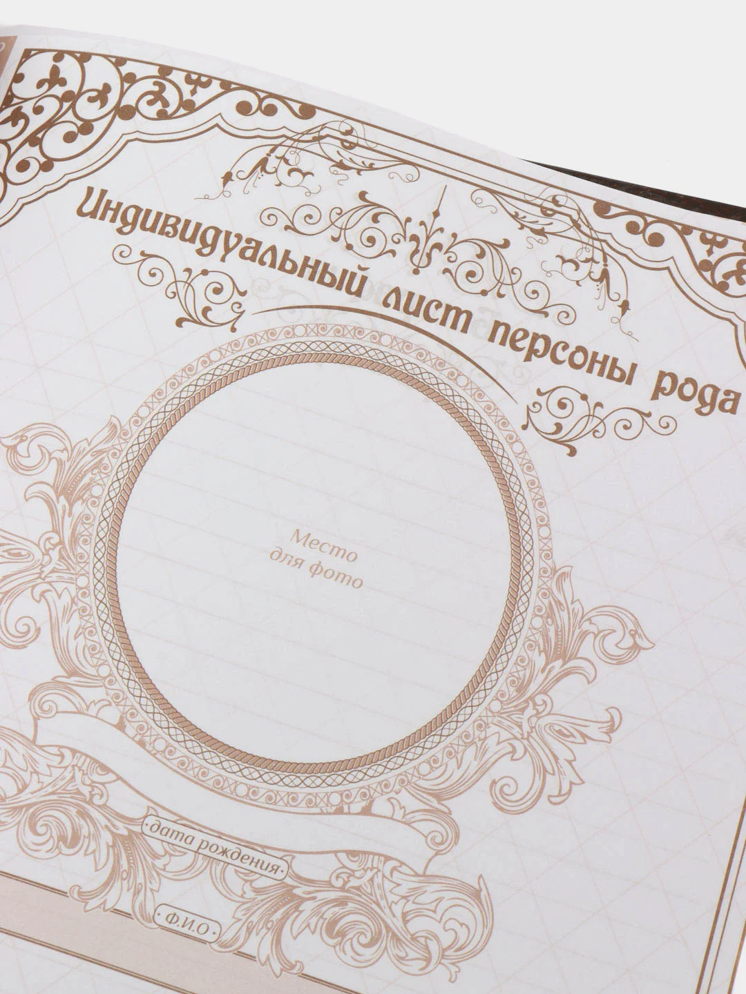 Коричневый родословная книга «Наша Семья», 100 страниц, 22 х 31 см