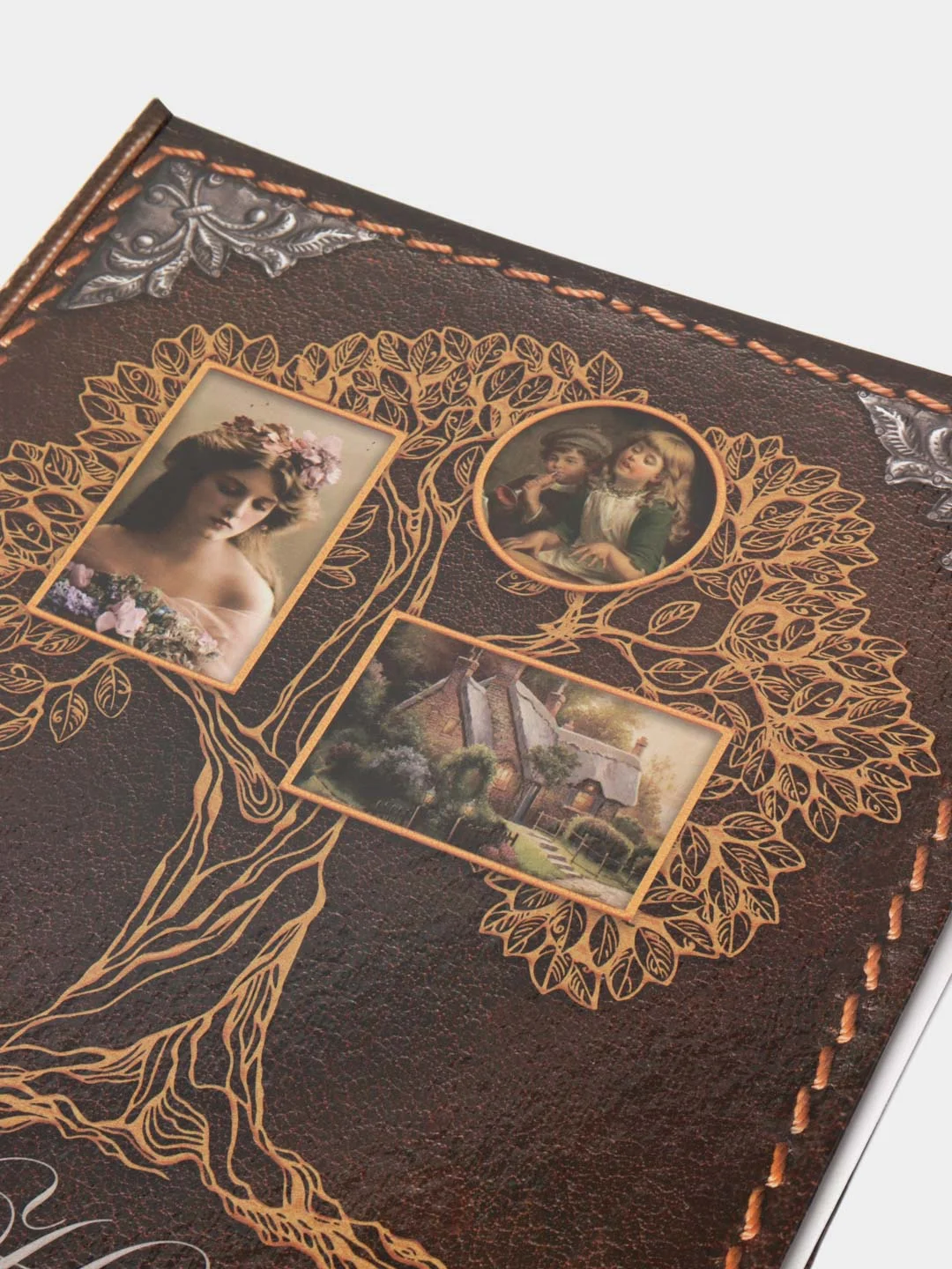 Коричневый родословная книга «Наша Семья», 100 страниц, 22 х 31 см