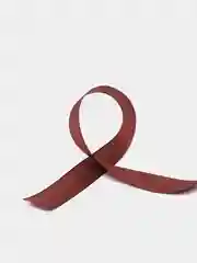 Шоколадный лента атласная, 25 мм, бобина 22 метра