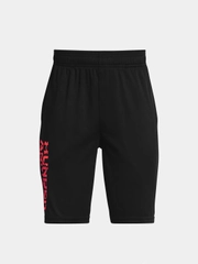 Шорты Under Armour Ua prototype 2.0 wdmk
