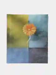 Желтый фотоальбом на 20 магнитных листов, 23 x 28 см