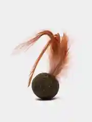 Белый лакомства, кошачья мята