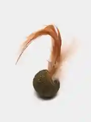 Белый лакомства, кошачья мята