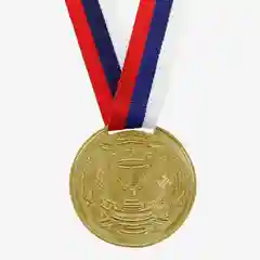 Медаль призовая, триколор, 1 место, золото, d = 5 см
