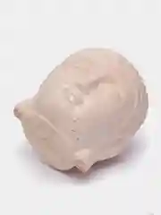 Коралловый меланж бетонное кашпо "Будда"