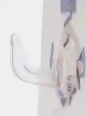 Лайм универсальный настенный самоклеящийся крючок