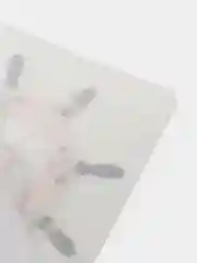 Ледяной универсальный настенный самоклеящийся крючок