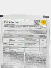 Средство для защиты от болезней Раёк, 2 мл