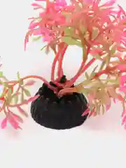 Алый растение искусственное аквариумное, разные цвета, 5 см