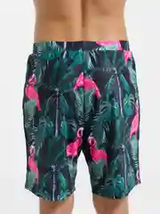 Зеленый плавки мужские Family look