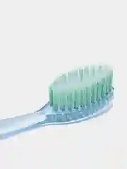 Морской зубные щетки 2 штуки