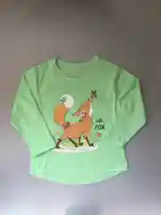 Салатовый детская футболка с длинным рукавом, 4, 5, 6, 7 лет